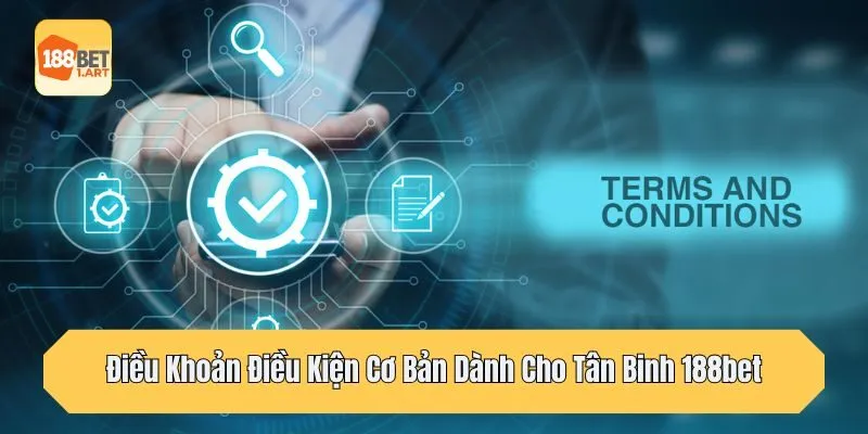 Hiểu đúng về các điều khoản điều kiện trong quá trình cá cược online