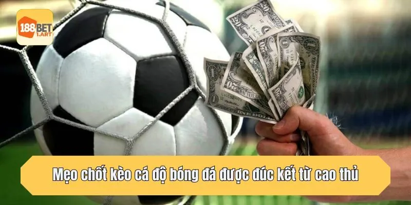 Mẹo chốt kèo cá độ bóng đá được đúc kết từ cao thủ