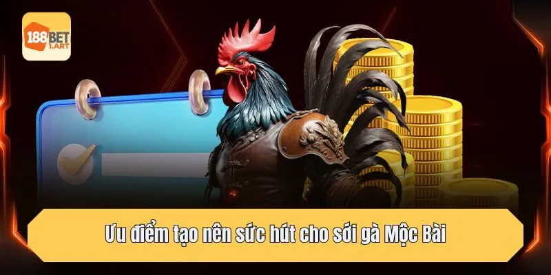 Ưu điểm tạo nên sức hút cho sới gà Mộc Bài